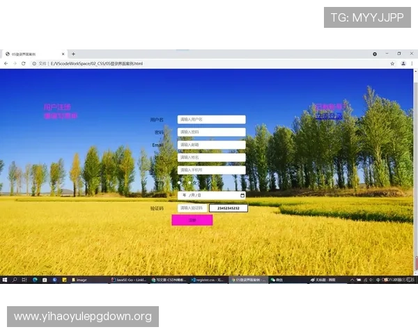 壹号注册中心：多行业注册案例分析与实操经验分享